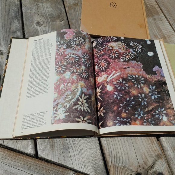 VINTAGE Funk & Wagnalls Wildlife Encyclopedias Lot of 3 Volumes 14, 17, … - Picture 6 of 9